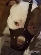 img 1 attached to Genuine Leather Basket Muzzle For Pitbulls And Staffordshire Terriers In Black By CollarDirect review by John Langdon