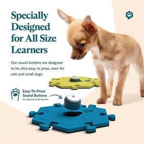 img 3 attached to 🔉 FluentPet Dog Talking Button Training Kit - Teach Your Dog or Cat to Talk with Bunny's Favorite Recordable Sound Buttons - Includes 2x Recordable Sound Buttons and 2x Compact HexTile Soundboard Mats