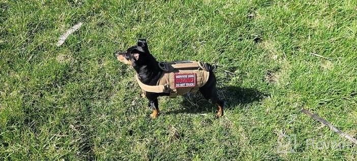 img 1 attached to Tactical Military Dog Harness With Vertical Handle And Durability For Small Puppies - XS (Neck: 11"-17", Chest: 15"-22") review by Joshua Sharma