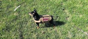 img 5 attached to Tactical Military Dog Harness With Vertical Handle And Durability For Small Puppies - XS (Neck: 11"-17", Chest: 15"-22")