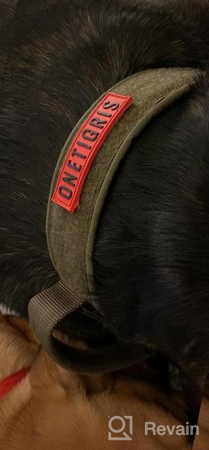 img 1 attached to Adjustable Military Tactical Dog Collar With Heavy-Duty Buckle And Handle For Training - Durable And Tough For Medium Breeds (Black) review by Doug Olson