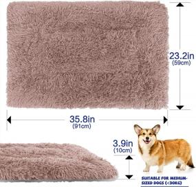 img 3 attached to Ultra-Soft And Anti-Slip Pet Bed Pad For Small And Medium Dogs And Cats By Topmart - Machine Washable And Durable Kennel Cushion In Beige