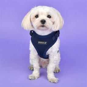 img 1 attached to Puppia Authentic RiteFit Harness Adjustable Cats made as Collars, Harnesses & Leashes