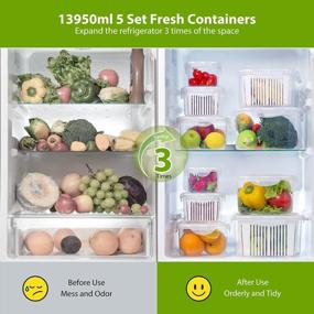 img 2 attached to Keep Your Fruits And Vegetables Fresh With LUXEAR'S BPA-Free Produce Storage Containers, Complete With Colander And Lids - Set Of 5 For Efficient Refrigerator Organization