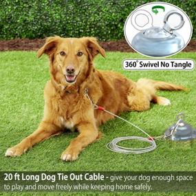img 3 attached to Secure Your Furry Friend With 360° Swivel Dog Tie Out Stake - Heavy Duty And Rust Proof - Lifetime Replacement Guarantee