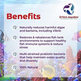 img 2 attached to DrTims Aquatics Eco Balance Multi Strained Probiotic Fish & Aquatic Pets better for Aquarium Water Treatments