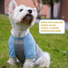 img 2 attached to 🐶 KYEESE 2 Pack Dog Shirts: Quick Dry, Soft Stretchy Raglan Sleeve T-Shirts for Small Dogs with Reflective Label