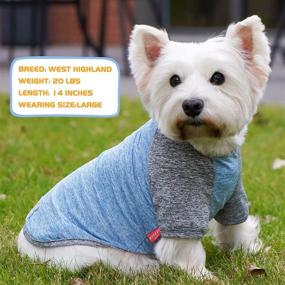 img 3 attached to 🐶 KYEESE 2 Pack Dog Shirts: Quick Dry, Soft Stretchy Raglan Sleeve T-Shirts for Small Dogs with Reflective Label