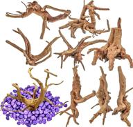 vmiapxo natural driftwood aquarium freshwater logo