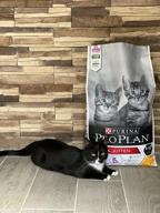 img 1 attached to Dry food for kittens Pro Plan Original with chicken 3 kg review by Ada Dudek