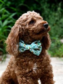 img 2 attached to Adjustable Dog Collar with Detachable Bowtie - Nest Times Dog Bow Tie for Small, Medium & Large Dogs