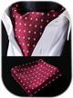 elegant hisdern ascot ties & pocket square set for men's wedding parties logo