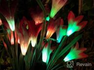 img 1 attached to 2 Pack Multi-Color Changing Lily Solar Flower Lights For Patio, Yard Decoration - TONULAX Outdoor Upgraded Solar Garden Lights With Bigger Flowers And Wider Panels (Purple & Red) review by Michael Dixon