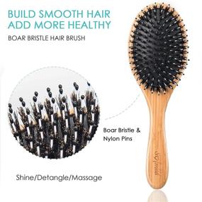 img 2 attached to Boar Bristle Hairbrush Set For Women Men Kids - 3 Pcs Wooden Paddle Brush & Tail Combs, Reducing Frizz On Long Thick Thin Curly Natural Hair Gift Care Package