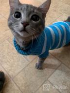 img 1 attached to High Stretch And Soft Striped Kitty Sweater For Cats And Small Dogs - Evursua Knitwear For Male And Female Pets (S, Blue) - Keeping Them Warm And Fashionable review by Kyle Salinas