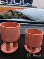 img 1 attached to Set Of 2 - 4.5" Terracotta Clay Plant Pots W/ 3 Legs & Saucer | Indoor Succulent Planters review by David Strawn