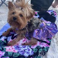 img 1 attached to Adorable Small Dog Bikini: CuteBone Puppy Bathing Suit For Girls - DB07S review by Jaime Benenati