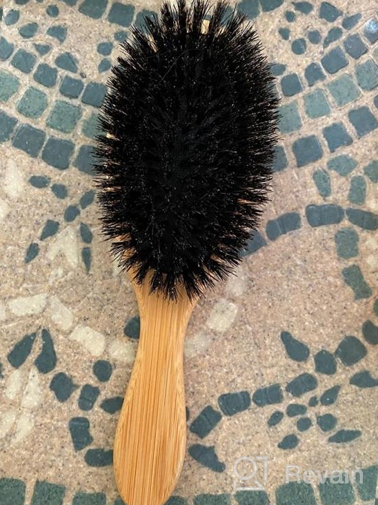 img 1 attached to Revitalize Fine Hair With Belula'S 100% Boar Bristle Brush Set – Includes Wooden Comb, Travel Bag And Spa Headband! review by Logan Goozmer