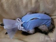 img 1 attached to Surgical Abdominal Wound Recovery For Cats: LIANZIMAU Cat Surgery Suit - Home Indoor Pet Clothing E-Collar Alternative After Surgery review by Bobby Watkins