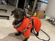 img 1 attached to Didog Winter Small Dog Coats: Waterproof, Warm & Harness Compatible For Puppy & Cat Walking Hiking - Red (Chest 13") review by Tyler Munajj