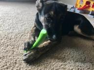 картинка 1 прикреплена к отзыву Indestructible Dog Chew Toys For Large Breeds - Oneisall Bone Chew Toy For Aggressive Chewers от Brian Cox