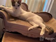 картинка 1 прикреплена к отзыву Luxury Cardboard Cat Scratcher Bed - Sofa Shape Scratcher For Indoor Cats With Catnip And Lounge Area от Sam Dhungana
