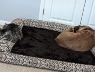 img 1 attached to 🐶 Furhaven Large Gray Plush & Suede Sofa-Style Dog Bed Replacement Cover review by Jeff Langford