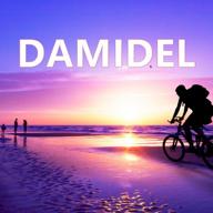 damidel logo