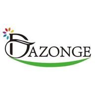 dazonge логотип