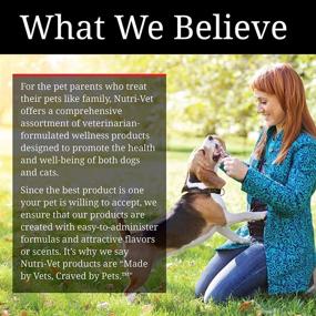 img 2 attached to 🐶 Nutri-Vet Ear Cleansing Pads for Dogs - Soothing & Non-Irritating - Removes Dirt & Wax Build Up - Promotes Dog Ear Health - 90 Count