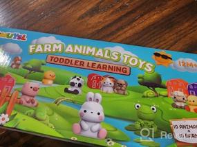 img 8 attached to 20 Piece Farm Animal Learning Toy Set For Toddlers - Develop Counting, Color Matching And Fine Motor Skills While Having Fun!