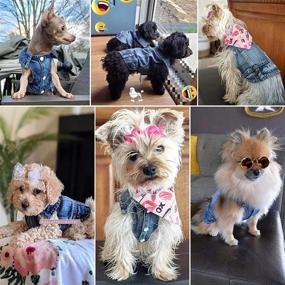 img 2 attached to 🐶 Qidelong Dog Jean Jacket: Stylish Blue Denim Lapel Vest for Small-Medium Sized Dogs & Cats - Comfortable and Cool Pet Shirt for Cute Girl/Boy Puppies - Vintage Washed Apparel for an Adorable Dog Outfit