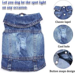 img 1 attached to 🐶 Qidelong Dog Jean Jacket: Stylish Blue Denim Lapel Vest for Small-Medium Sized Dogs & Cats - Comfortable and Cool Pet Shirt for Cute Girl/Boy Puppies - Vintage Washed Apparel for an Adorable Dog Outfit