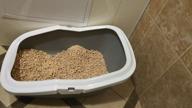 img 1 attached to Toilet tray for cats SAVIC Aseo 56x39x27.5 cm gray 1 pc. review by Mateusz Daczka ᠌