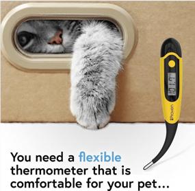 img 1 attached to DT-K117 Pet Thermometer For Accurate Fever Detection In Cats And Dogs - Fast, Waterproof Measurements In 20 Seconds By IProven.