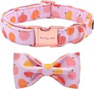 removable adjustable halloween pumpkin collar logo