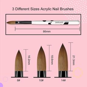 img 3 attached to Saviland 3Pcs Acrylic Nail Brush Set - Kolinsky Sizes 8/10/14 For Acrylic Application, Nail Extension With Black & White Handle Beginner Professional