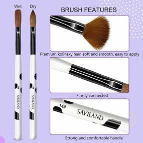 img 1 attached to Saviland 3Pcs Acrylic Nail Brush Set - Kolinsky Sizes 8/10/14 For Acrylic Application, Nail Extension With Black & White Handle Beginner Professional