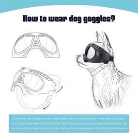 img 1 attached to 🐶 Premium PETLESO Dog Goggles: UV Protection Sunglasses for Medium Breed, Adjustable Straps - Suitable for Driving, Hiking - Blue Lens