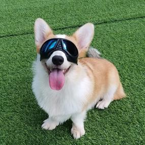 img 3 attached to 🐶 Premium PETLESO Dog Goggles: UV Protection Sunglasses for Medium Breed, Adjustable Straps - Suitable for Driving, Hiking - Blue Lens