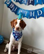 img 1 attached to Celebrate Your Pup'S Big Day With TCBOYING'S 11-Piece Dog Birthday Set – Blue Bandana, Hat, Scarf, Flags, Balloons & More! review by Scott Vazquez