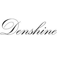 denshine logo