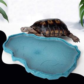 img 3 attached to OMEM Luminous Reptile Food Bowl: Large Water Dish for Terrariums & Tortoises