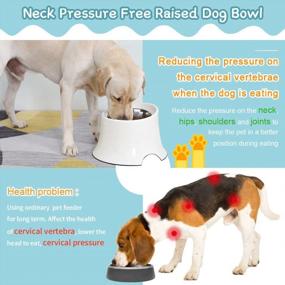 img 3 attached to Raised Dog Bowl Feeder For Food & Water, Non Spill Edges & Non Skid Stand, Reduce Neck Stress, Less Regurgitating And Vomiting - 4 Cup Melamine Black White Pack