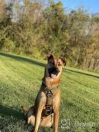 img 1 attached to Elite-Black Mobility Vest With Handle And Chest Protector For Large Dogs - ICEFANG Tactical Dog Harness With Padded Y Front, 5-Point Adjustable, And No-Pull Leash Attachment (Pack Of 1) review by Laura Arnett