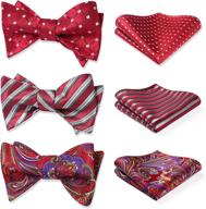 hisdern design classic self tie accessories: a versatile collection for men's ties, cummerbunds & pocket squares логотип