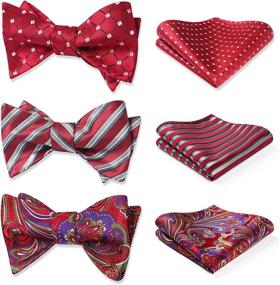 img 4 attached to HISDERN Design Classic Self Tie Accessories: A Versatile Collection for Men's Ties, Cummerbunds & Pocket Squares