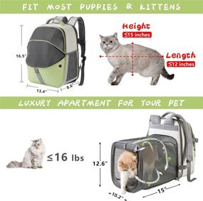 img 3 attached to 🐱 SEVVIS Pet Backpack Expandable - Cat Carrier Backpack - Small Dog Backpack Carrier, Mesh Expandable Cat Backpack Carrier Up to 16 lbs, Escape-Proof Zipper, Green