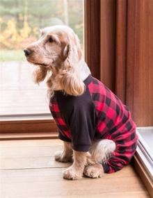 img 1 attached to 🐶 Leveret Dog Pajamas: Cozy Christmas PJs in 100% Cotton for Dogs (Sizes XS-XXL)