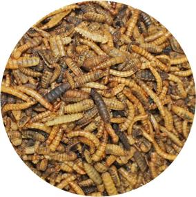 img 2 attached to 🐛 EZ Worms: Premium Blend of Dried Mealworms & Black Soldier Fly Larvae (BSFL) - The Ultimate Healthy Insect Treat for Chickens, Bluebirds, Sugar Gliders, Hedgehogs, Squirrels, Skunks, Reptiles, Turtles, and Fish